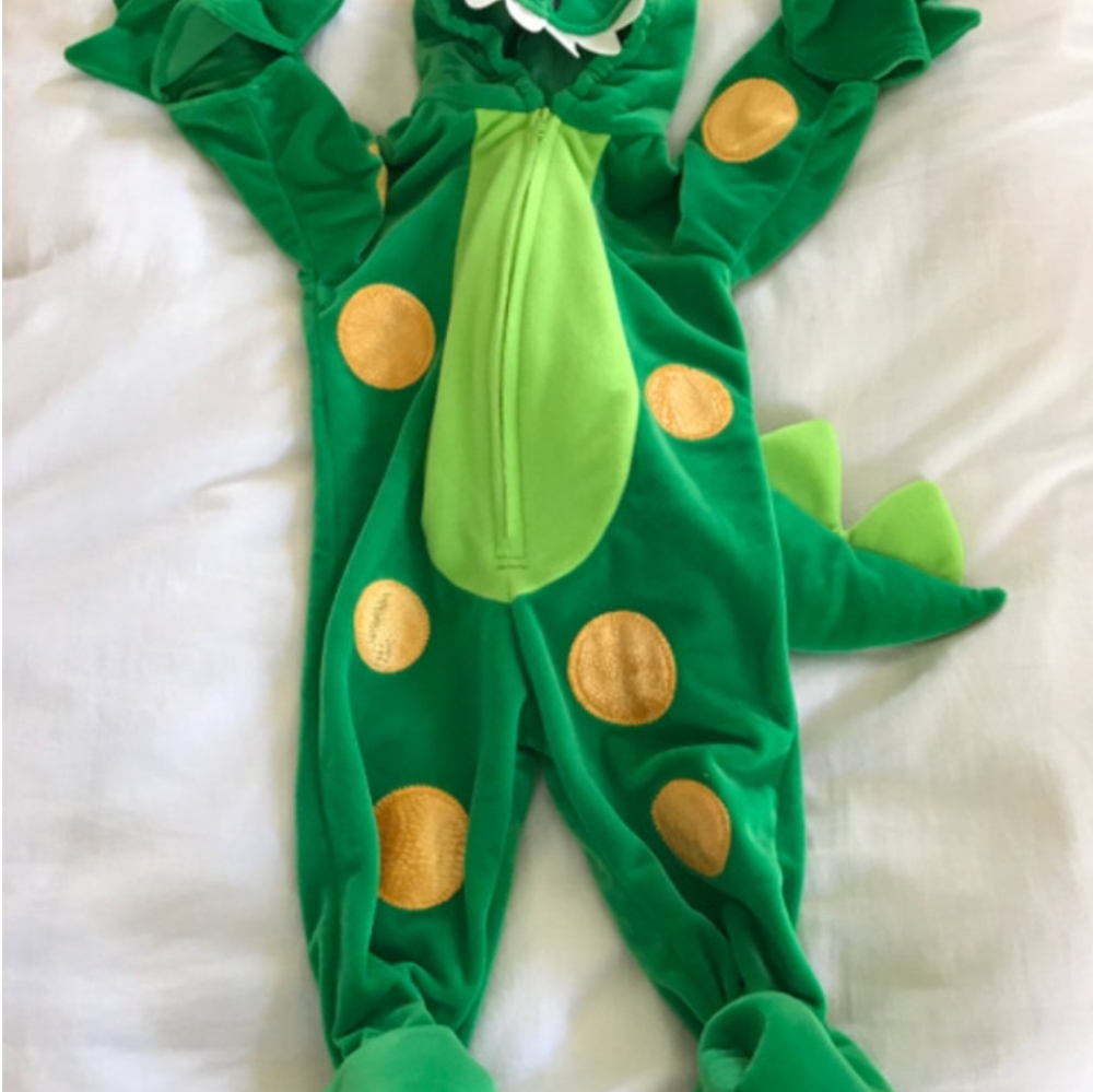 Dragon Alligator 0-3 month costume